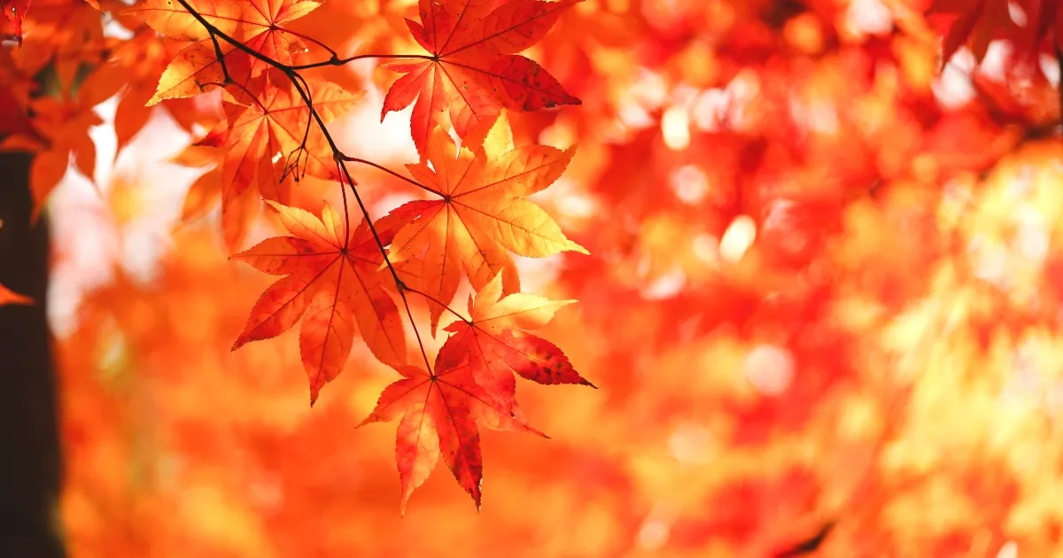 だんだん寒くなってきました！